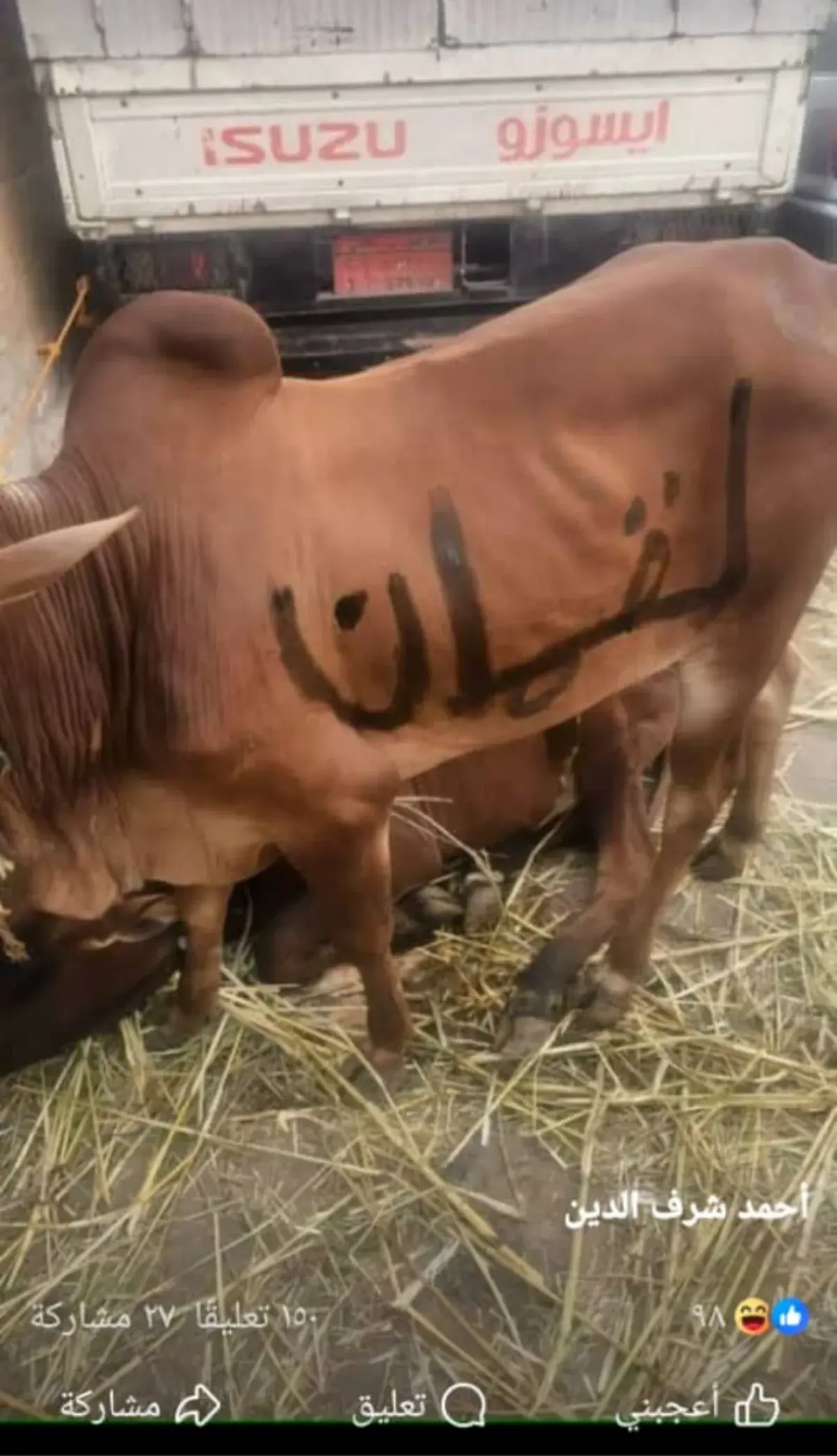 مليشيا الحوثي تحتجز جزارًا في إب بعد إطلاقه اسم "ل...