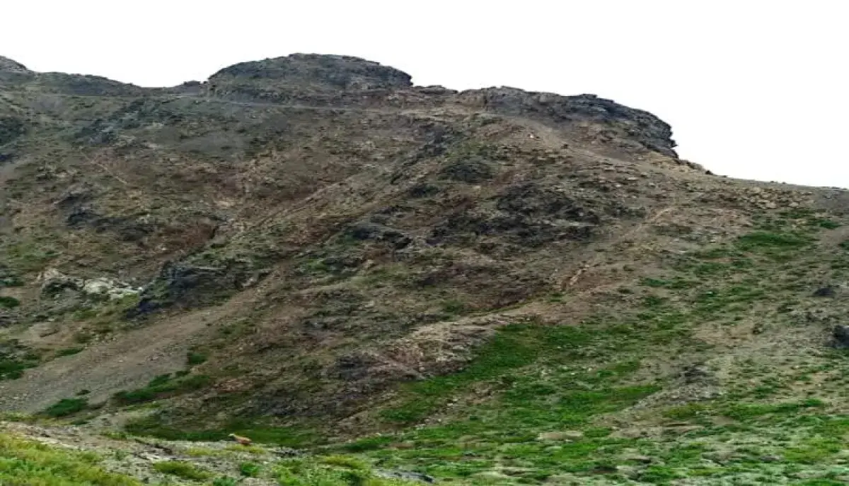 اسرار | بالاسماء والتفاصيل- بينهم نساء وأطفال.. إص...