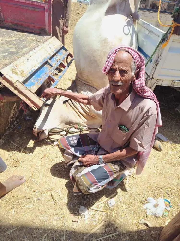 حملات ميدانية مكثفة لصحة البيئة بعتق لمراقبة الأضا...
