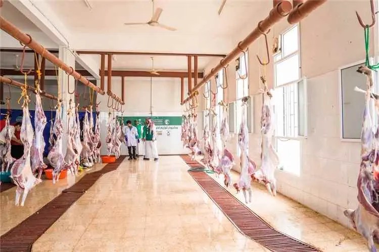 مركز الملك سلمان للإغاثة يدشن مشروع الاضاحي في محافظة حضرموت للعام 2026