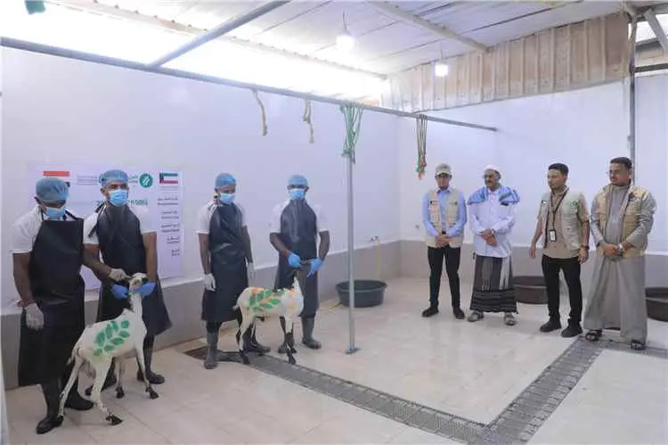 جمعية العون المباشر ومؤسسة استجابة تدشنان مشروع الأضاحي في حضرموت