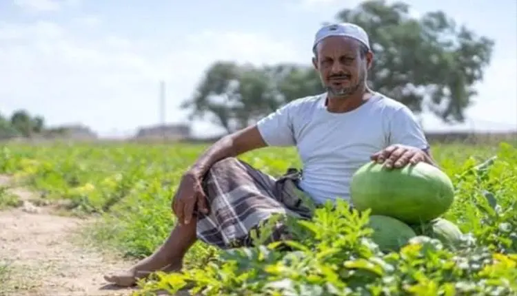 رفع أسعار الديزل في اليمن.. محنة جديدة ترهق المزار...