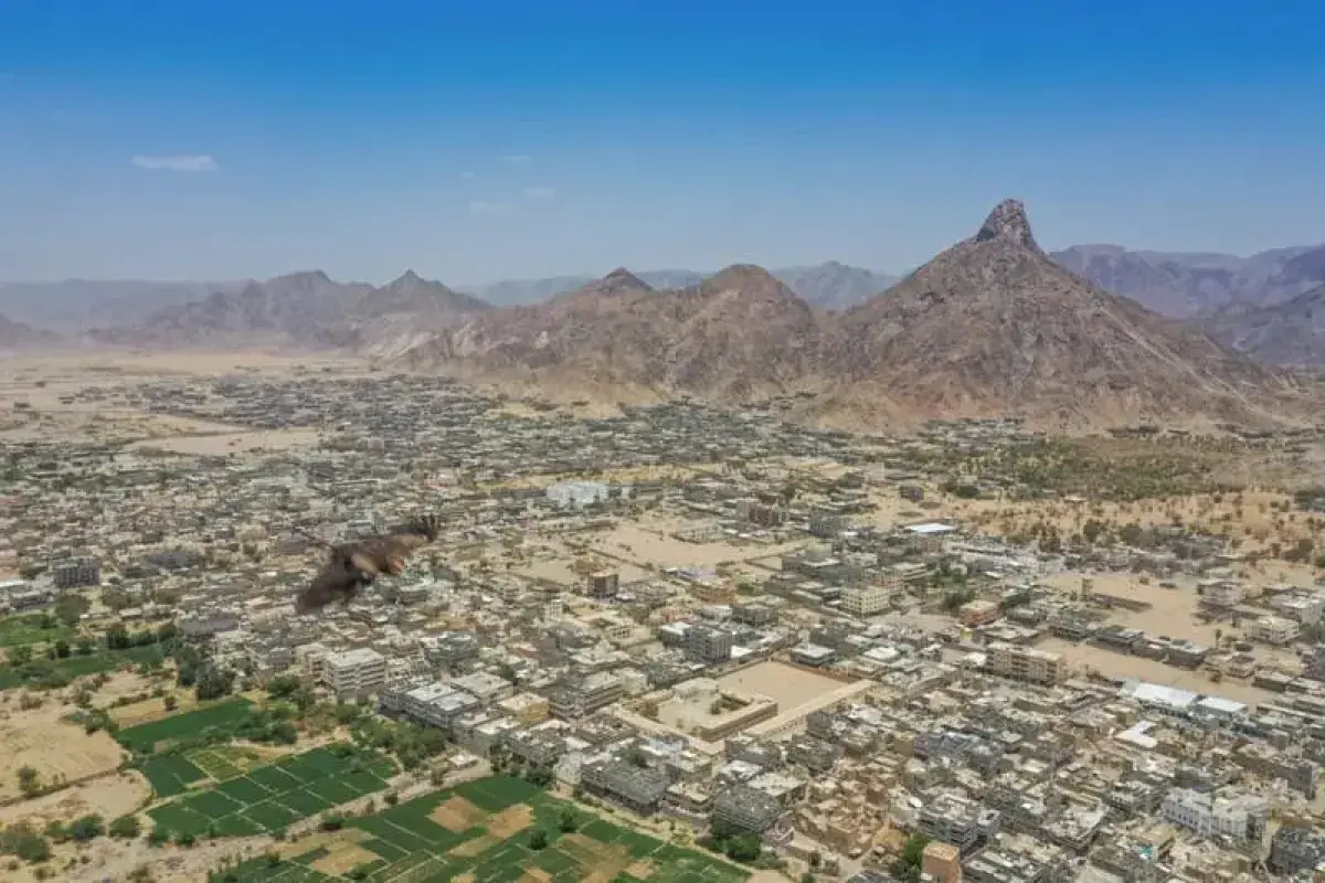 مقتل شاب في ظروف غامضة بشبوة