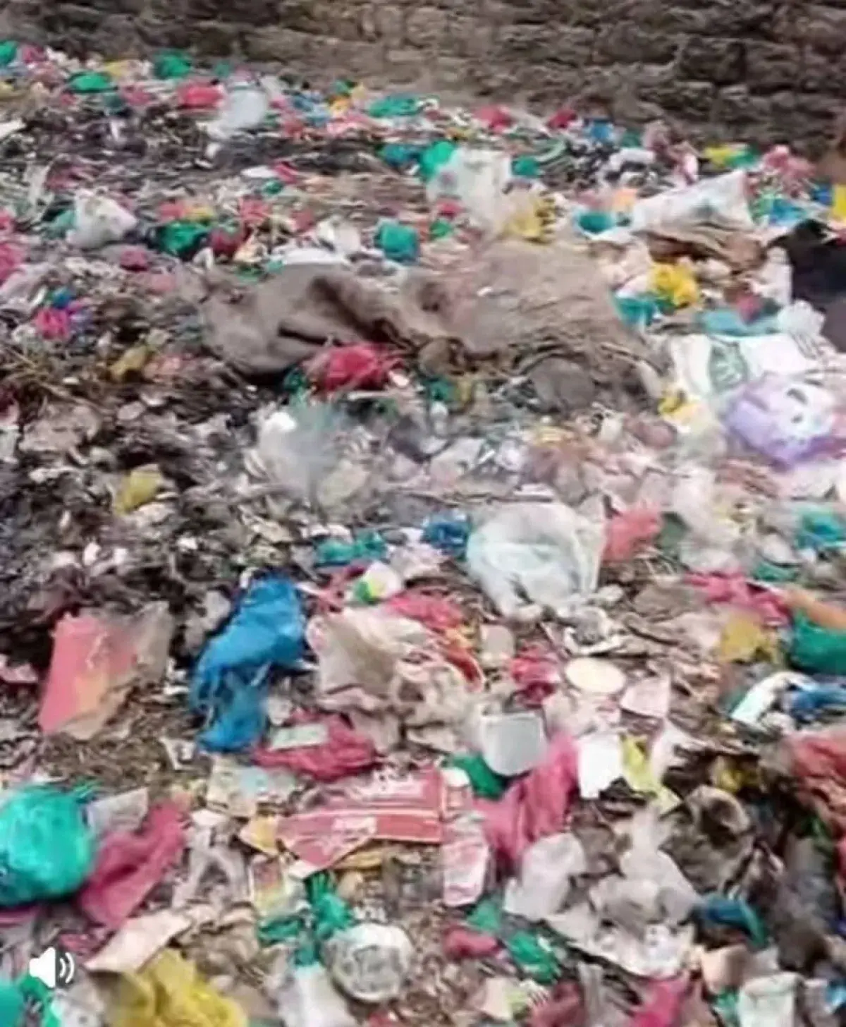 التربة تعاني انهياراً بيئياً بسبب تراكم النفايات و...
