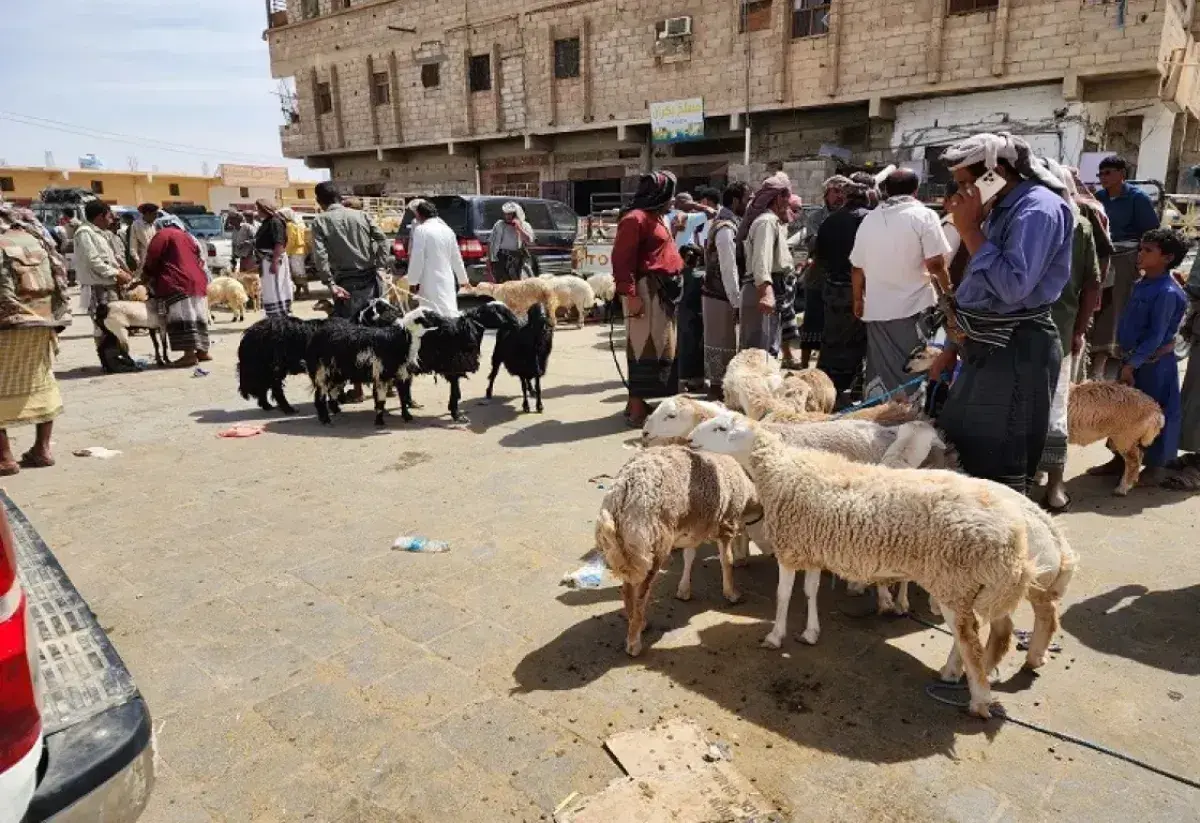 اسرار | بالتفاصيل- لحوم الفقراء للكلاب الضالة.. فض...