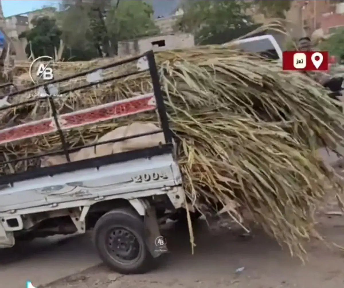 ناشطون يوثقون واقعة " نهب ثور " من أضاحي الجمعيات...