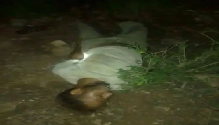 جثة مجهولة تهز جبل حبشي.. العثور على مواطن في ظروف...