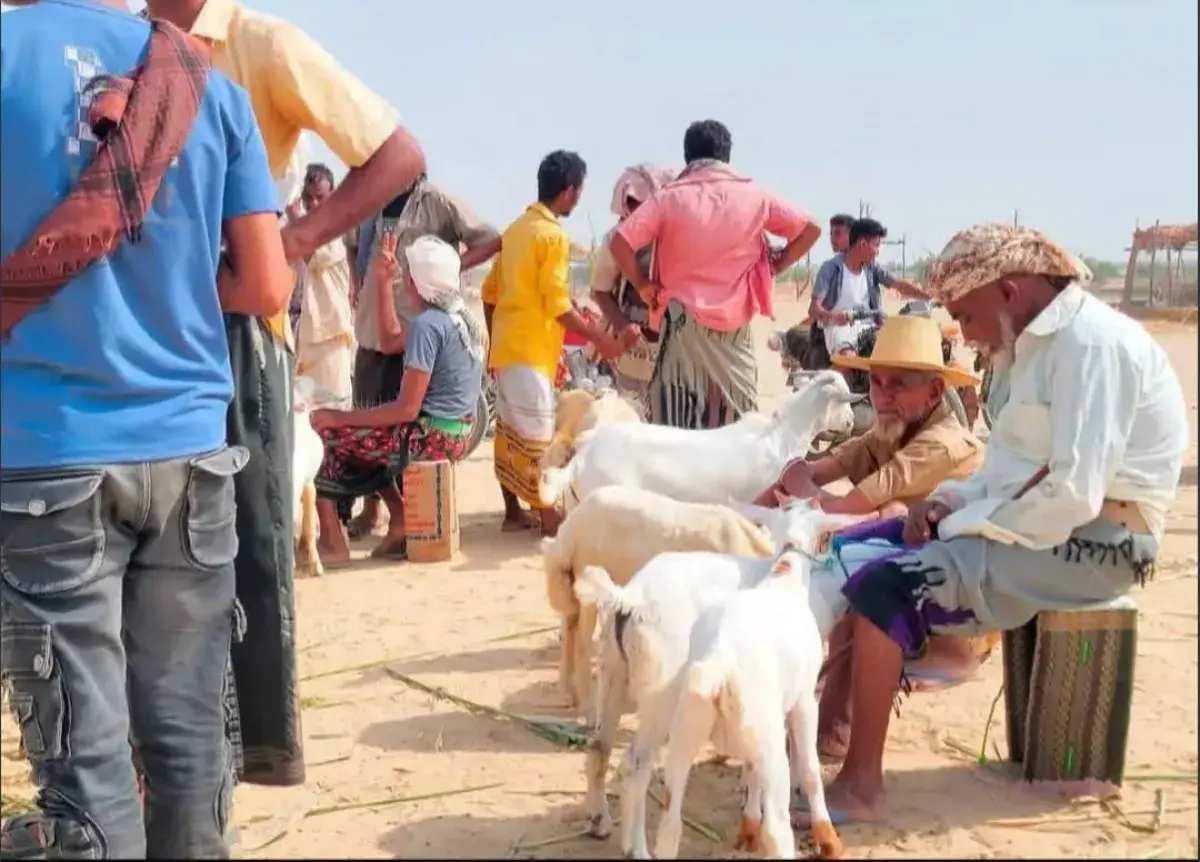 حجة: حصار وعزلة يخنقان حياة السكان في المديريات ال...