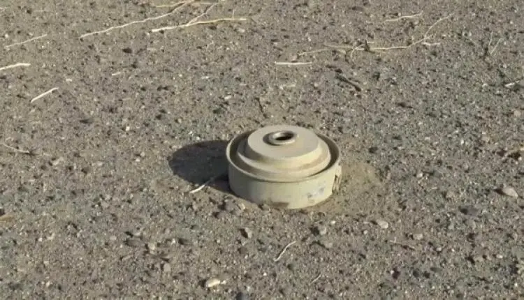 أثناء رعيهما للأغنام.. لغم حوثي إثر انفجار لغم حوث...