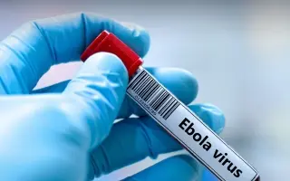 الكونغو تعلن ارتفاع حالات الإصابة المؤكدة بـ"إيبول...