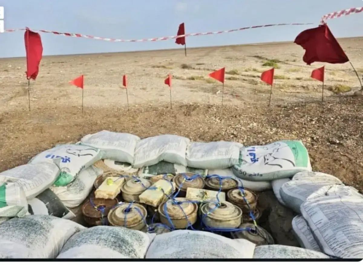 «مسام» ينتزع 798 لغماً وذخيرة غير منفجرة من مخلفات...