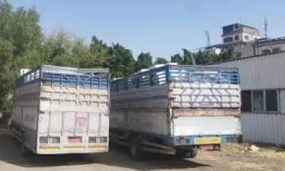 صنعاء: ضبط مبيدات محظورة ومهربة