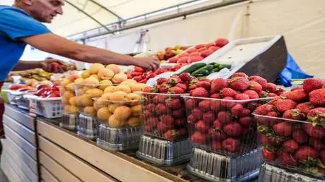 هل يمكن معرفة محتوى النترات من شكل الثمار؟