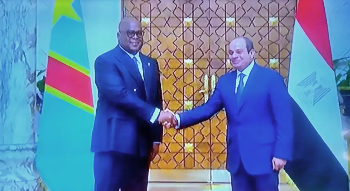السيسي يبحث مع رئيس الكونغو الديمقراطية تعزيز التع...