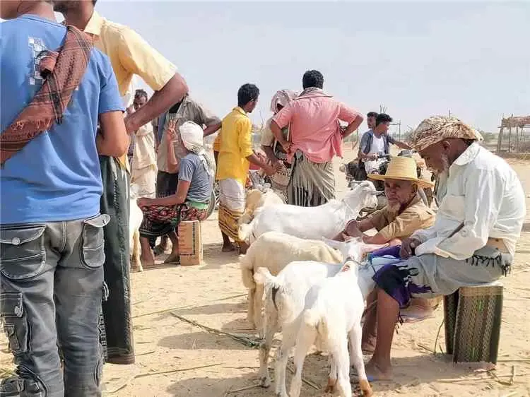 شمال تهامة.. كارثة إنسانية تتفاقم بين حصار الحوثيي...