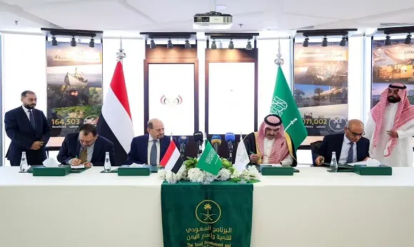 الخبير ذمرين: 150 مليون دولار قادرة على إنارة 50 أ...