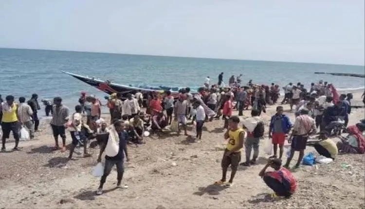 تقرير دولي يكشف وصول أكثر من 11.5 ألف مهاجر خلال ش...