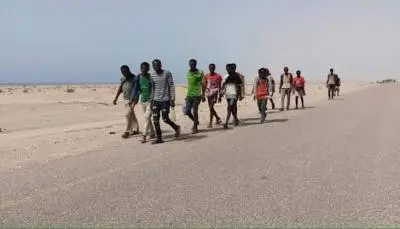 83835 مهاجراً أفريقياً وصلوا اليمن منذ بداية 2026م
