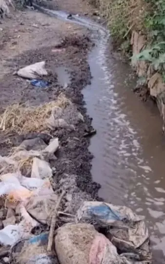 استخدام مياه الصرف الصحي لري المحاصيل تثير غضباً شعبياً في صنعاء