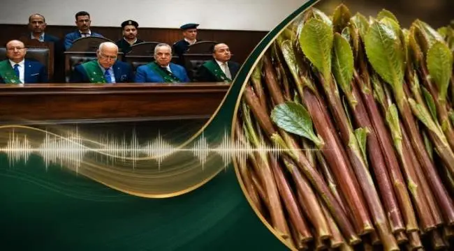 القات يقود يمني إلى حبل المشنقة في مصر… ومحكمة الج...