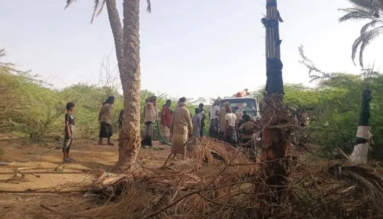 حريق يلتهم عشرات أشجار النخيل ومنازل سكنية في شبوة