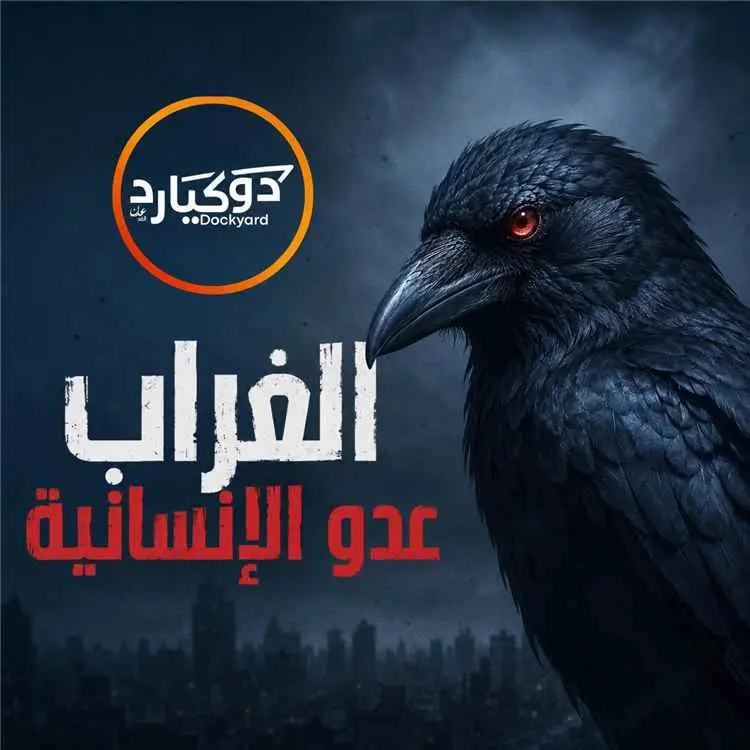 اتساع حملة شعبية لمكافحة الغربان في عدن ومطالبات بمشاركة صندوق النظافة