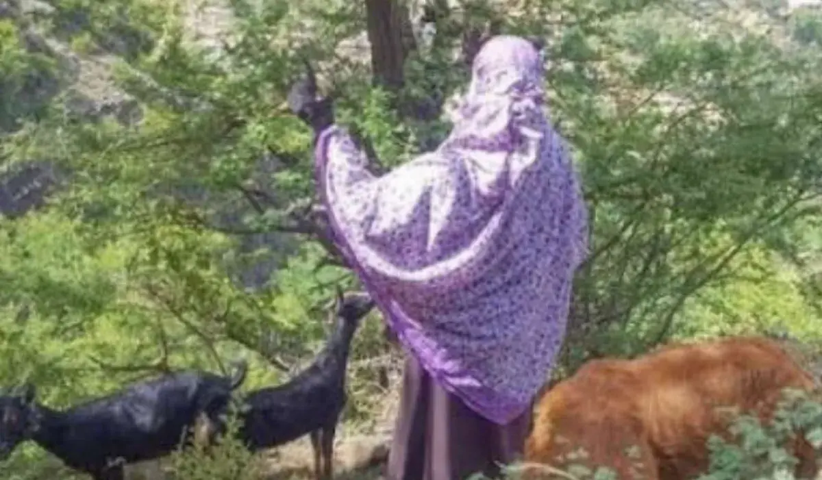 إب.. مسلح حوثي يقتل مسنة بسبب دخول أغنامها مزرعته...