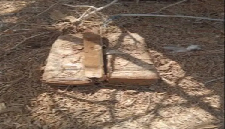 قوات الأمن الوطني الساحل تفكك عـ,ـبوة ناسـ,ـفة شما...