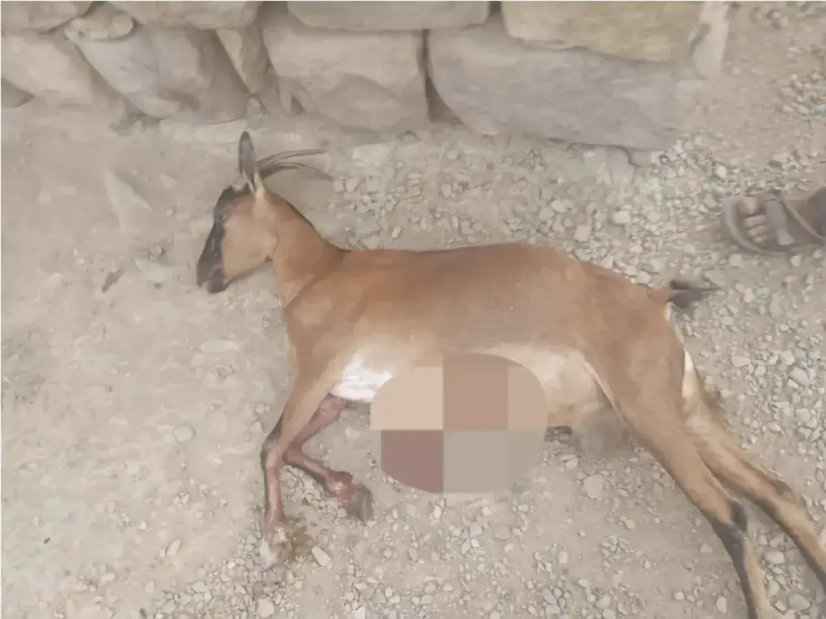الحوثيون يصعّدون استهداف المدنيين في تعز.. إطلاق ن...