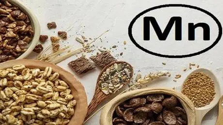خبير روسي يحذر من مخاطر نقص المنغنيز وزيادته على ص...