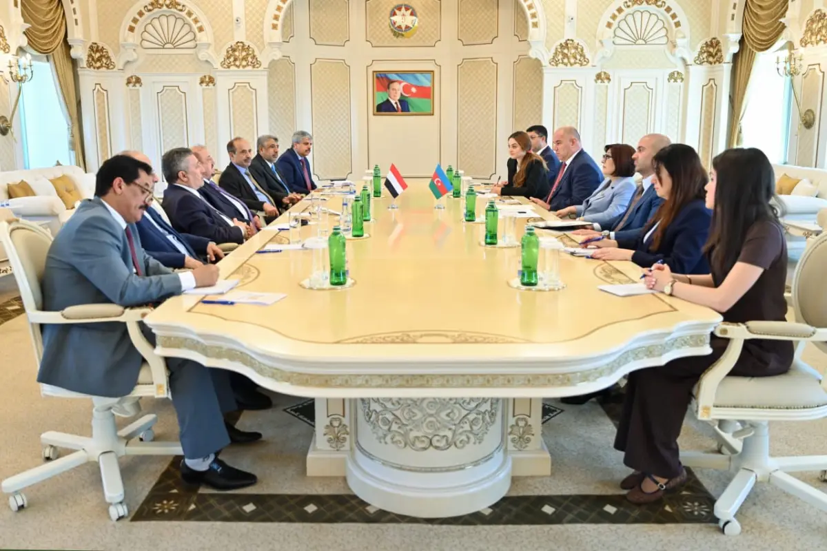 البركاني يلتقي رئيسة المجلس الوطني الأذربيجاني ويش...