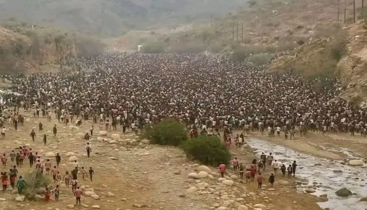 اليمن يواجه غزوًا من نوع آخر.. مهاجرون مسلحون يهدد...