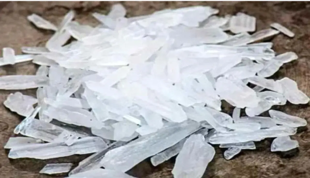 الإطاحة بمروج شبو في المهرة