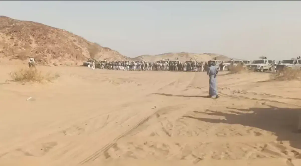 لليوم الثاني.. وفود من قبائل بني نوف وحضرموت وذمار...