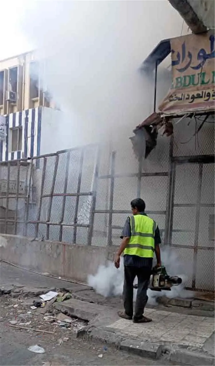 صحة البيئة بصيرة تكثف حملات الرش الضبابي والرذاذي...