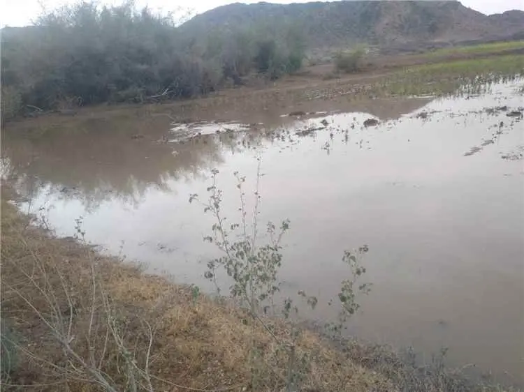 أمطار غزيرة تهطل على مناطق متفرقة من محافظة أبين
