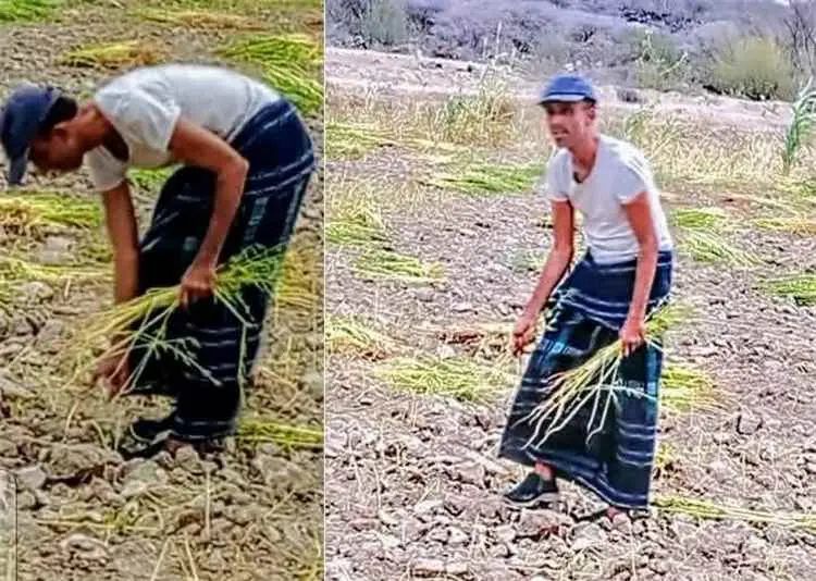 نداء إلى أصحاب القرار: الكفاءات الوطنية ثروة لا ين...