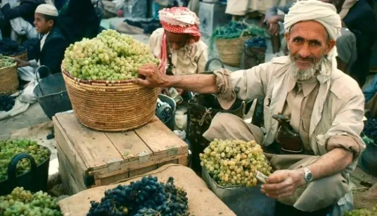 عنب اليمن.. «جواهر عابرة» تتحدى حـ,ـرب الحـ,ـوثي