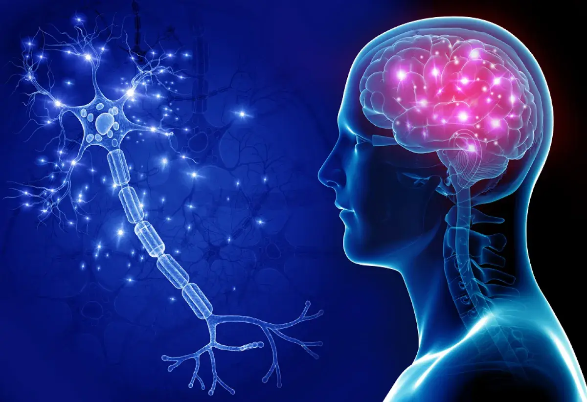 صحة الدماغ: شيخوخة مبكرة مرتبطة بالصحة الأيضية وليس العمر فقط