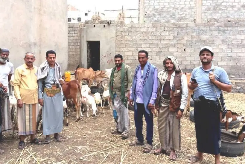جماعة الحوثي تفرض رسومًا جديدة على مربي المواشي وأ...