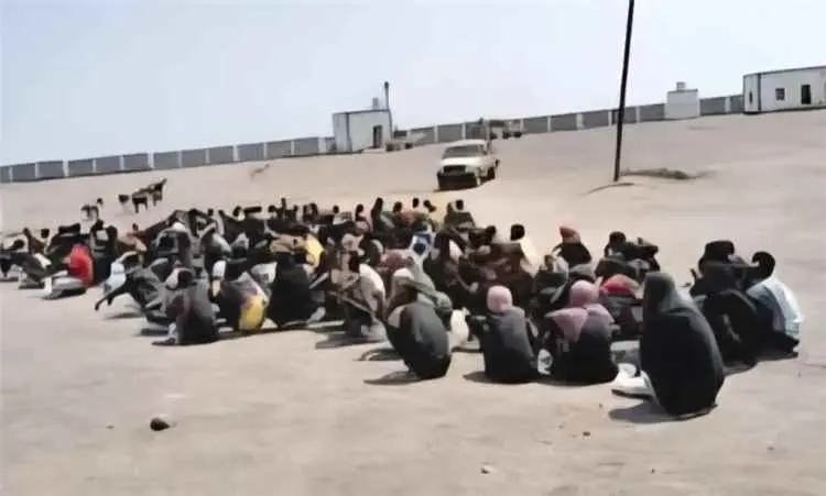 وصول 200 مهاجر غير شرعي إلى سواحل شبوة