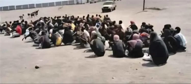 دفعة جديدة من المهاجرين غير النظاميين تصل إلى سواح...