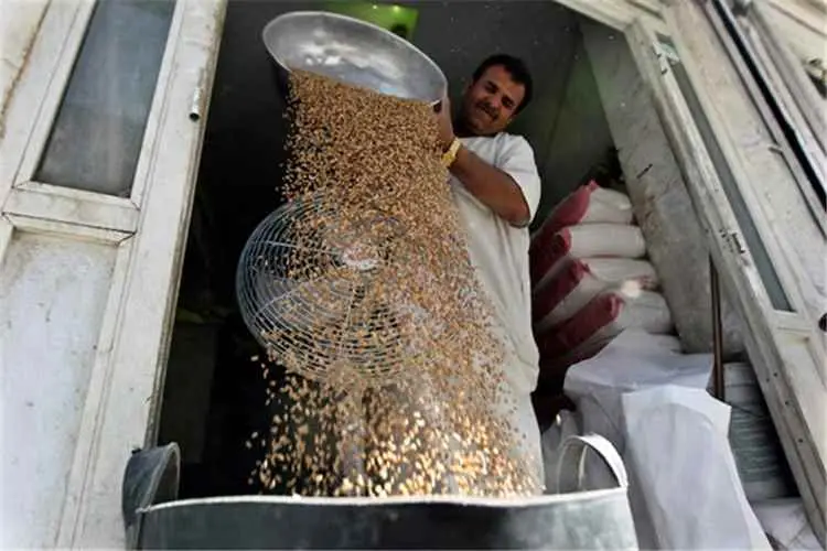 السعودية تطرح مناقصة لشراء 655 ألف طن من القمح