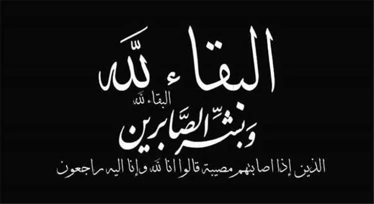 نائب وزير التعليم الفني والتدريب المهني الدكتور عد...
