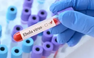 الصحة العالمية: بدء التجارب السريرية لعلاجين للإيب...