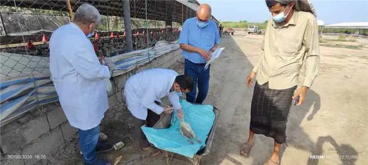 الصحة الحيوانية تنفذ نزولاً ميدانياً للتحري عن مرض...