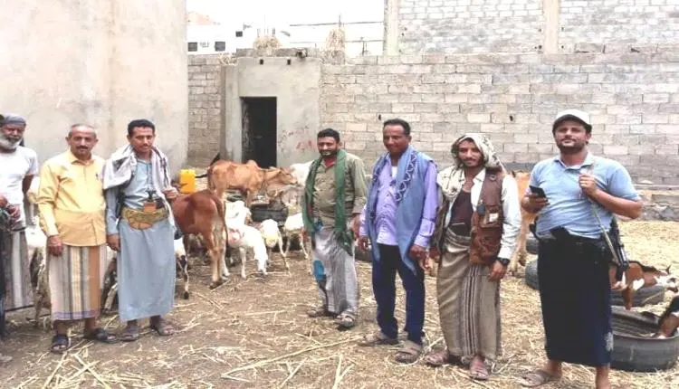 جدري الأبقار يجتاح مناطق الحوثي والجبايات تعمق خسا...