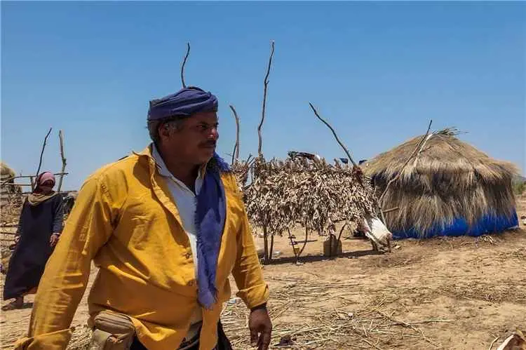 عودة مليونَي يمني نازحين داخلياً إلى مناطقهم الأصل...