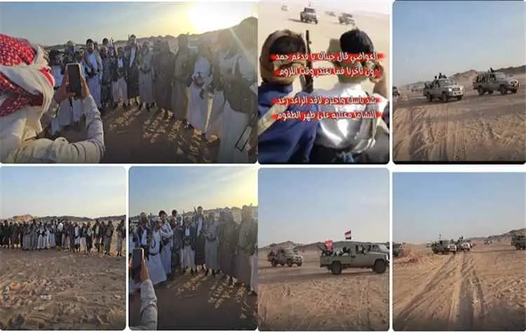 الطلائع الأولى من قبيلة آل عواض في مأرب تصل إلى مط...