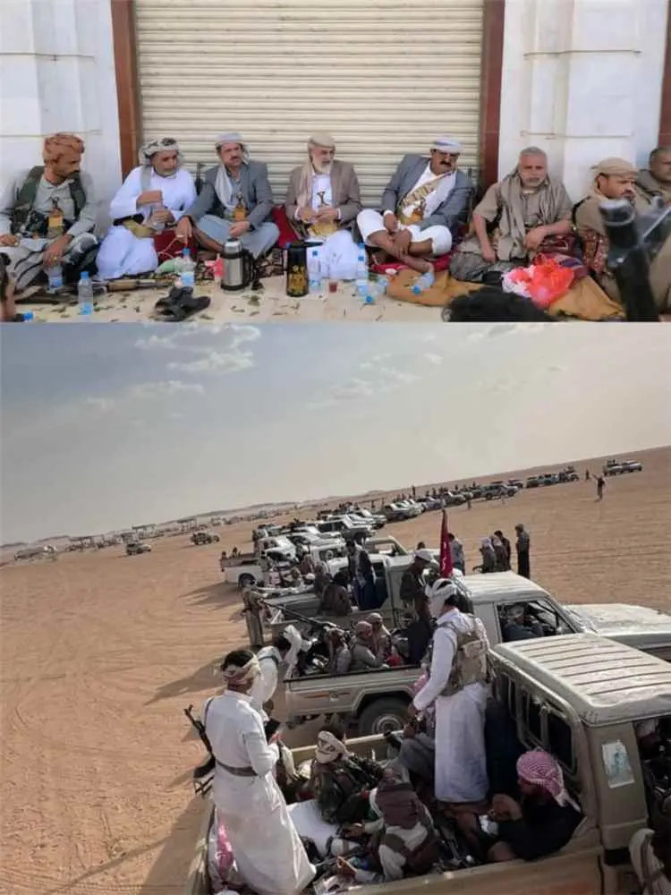 يتقدمهم كبار مشايخ وأعيان القبيلة.. وفد من قبيلة م...